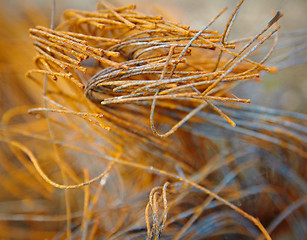 Image showing Rusty steel cord - waste to landfill