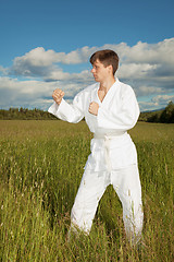 Image showing Man in kimono standing in grass