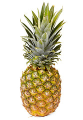 Image showing Pineapple