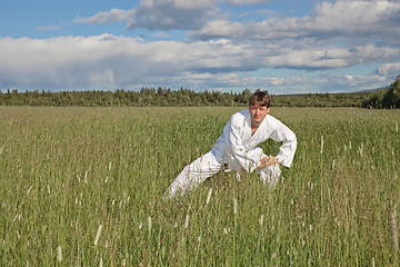 Image showing Young man practices Wushu in field