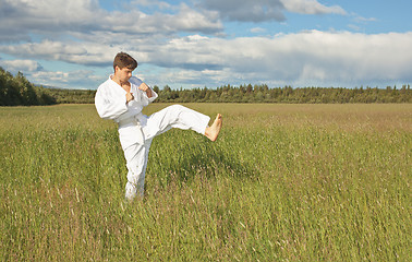 Image showing Karateka a kick