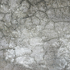 Image showing Square structure of rough plaster