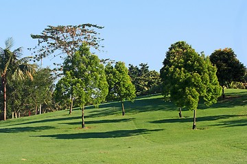 Image showing Golf field