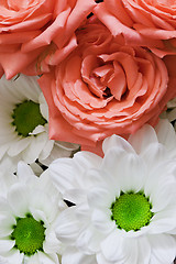 Image showing Flowers - chrysanthemums and roses