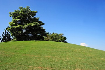 Image showing Golf field