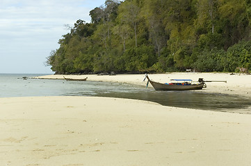 Image showing poda