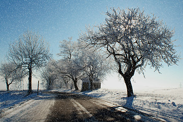 Image showing winter scene with snow, sun and blue sky