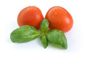 Image showing basil tomatoes