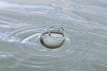 Image showing Splash