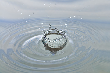 Image showing Splash