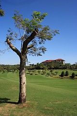 Image showing Golf field