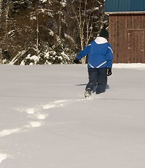 Image showing Canadian Winter Moment