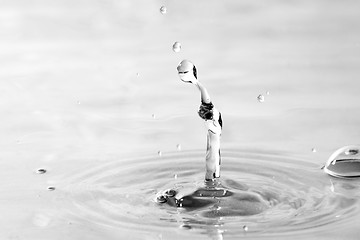 Image showing Clear Water Droplets Splash