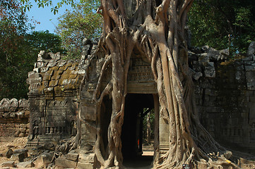 Image showing Angkor Cambodia