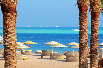 Image showing tropical beach between palm trees