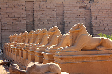 Image showing egypt statues of sphinx in karnak temple