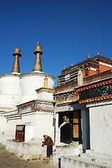 Image showing Landscape of a famous lamasery in Tibet