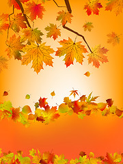 Image showing Autumn card of colored leafs. EPS 8