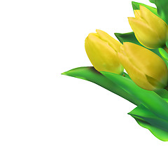 Image showing Bright yellow tulips isolated on white. EPS 8