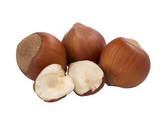 Image showing hazelnuts, whole and unshelled