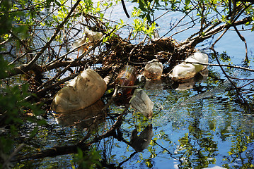 Image showing trash in the river