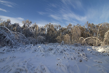 Image showing winter landscape