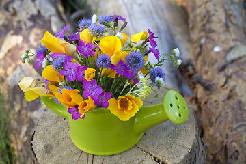 Image showing bunch of wild flowers