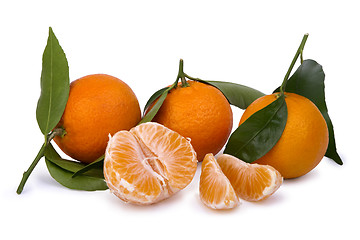 Image showing ripe tangerines