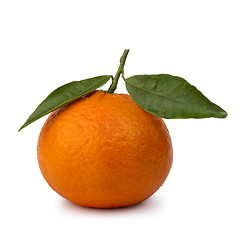 Image showing ripe tangerines