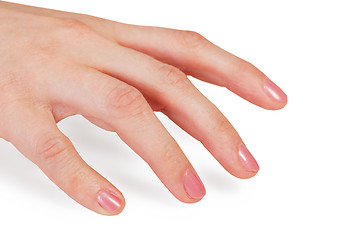 Image showing Woman hand with pink nails