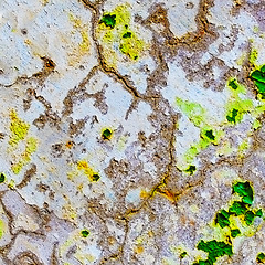 Image showing Stone wall covered with cracked plaster