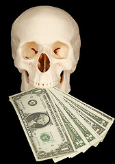 Image showing Horrible skull with bundle of money in mouth