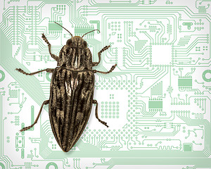 Image showing Computer bug