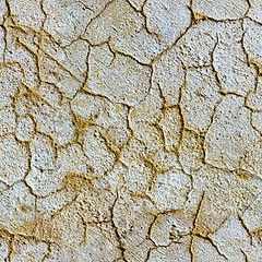 Image showing Seamless texture of plaster with cracks