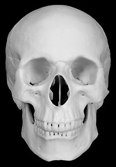 Image showing Human skull isolated on black background