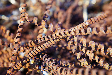 Image showing Rusty metal shavings - industrial waste