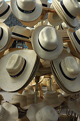 Image showing Summer Hats