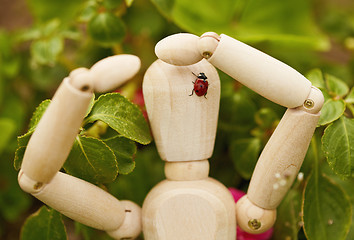 Image showing Toy man with ladybug on head