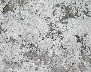 Image showing Grunge paint on wall