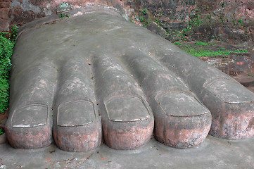 Image showing Buddha Foot