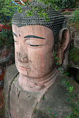 Image showing Giant buddha