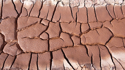 Image showing Dried and cracked earth