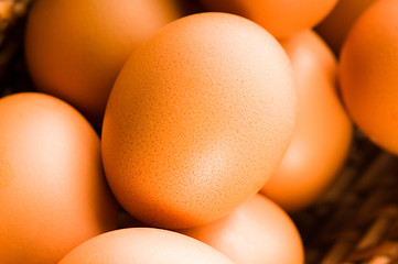 Image showing Fresh brown cage free eggs