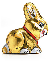 Image showing Rabbit