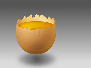 Image showing Raw Egg