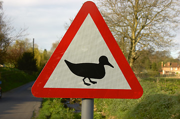 Image showing Duck crossing sign