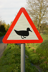 Image showing Duck crossing sign