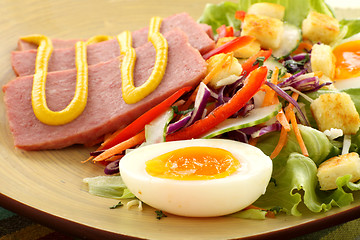 Image showing Spam And Salad