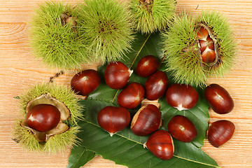 Image showing Chestnuts.