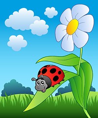 Image showing Cute ladybug with flower